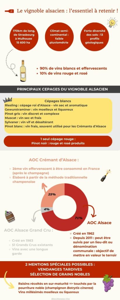 Infographie avec les chiffres clés sur le vignoble alsacien et ses cépages