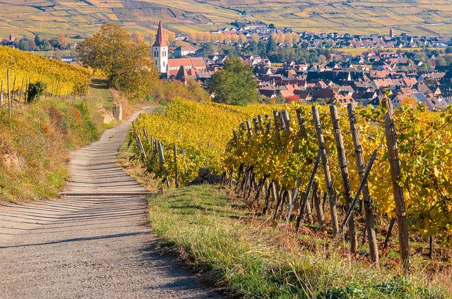 image de la route des vins en alsace - vue sur un vignoble et un village alsacien